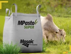 Fertilizante Mpasto Super - Mosaic