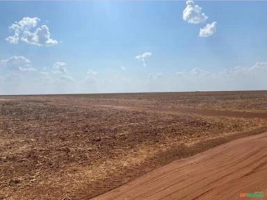 Imagem Parceiro Para Plantio Imagem Parceiro Para Plantio