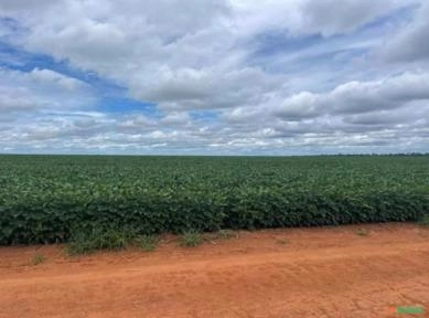 Imagem Parceiro Para Plantio Imagem Parceiro Para Plantio