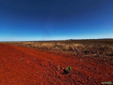 Imagem Parceiro Para Plantio Imagem Parceiro Para Plantio