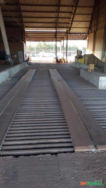 Imagem Parceiro Para Plantio Imagem Parceiro Para Plantio