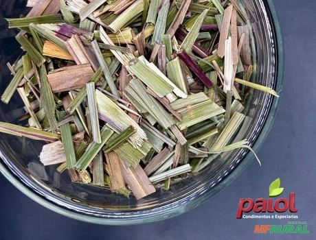 CAPIM CIDREIRA EGÍPCIA ***PREMIUM*** 20Kg Imagem CAPIM CIDREIRA EGÍPCIA ***PREMIUM*** 20Kg