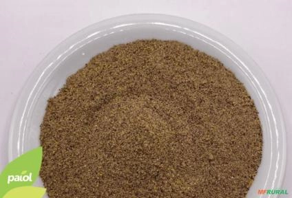 PIMENTA REINO MOÍDA PURA 10Kg Imagem PIMENTA REINO MOÍDA PURA 10Kg