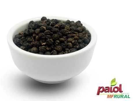 PIMENTA REINO GRÃO Imagem PIMENTA REINO GRÃO