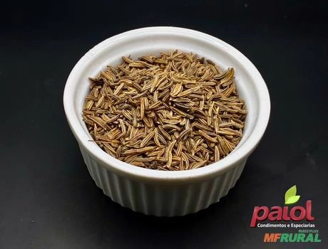 KUMEL (ALCARÁVIA) Imagem KUMEL (ALCARÁVIA)