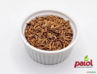 KUMEL (ALCARÁVIA) Imagem KUMEL (ALCARÁVIA)