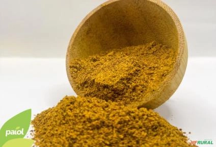 TEMPERO BAIANO 10Kg Imagem TEMPERO BAIANO 10Kg