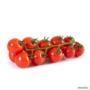 Tomate em rama (cacho) Holandes/Saladete /Cocktail/Gourmet para comprar Imagem Tomate em rama (cacho) Holandes/Saladete /Cocktail/Gourmet para comprar