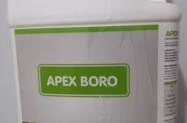 Boro 10 - Apex Boro