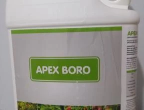 Boro 10 - Apex Boro