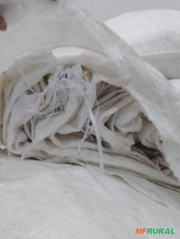 Saco Rafia em Arapiraca AL à venda. Compre direto do vendedor 604107