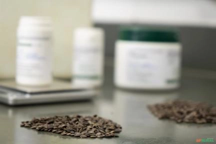 Imagem Sementes de Maracujá FB200 Yellow Master Imagem Sementes de Maracujá FB200 Yellow Master