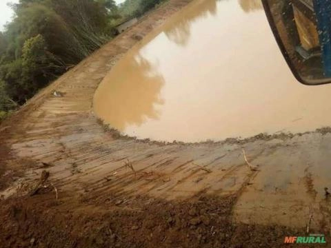 Imagem SERVIÇO DE DESTOCA DE EUCALIPTO Imagem SERVIÇO DE DESTOCA DE EUCALIPTO