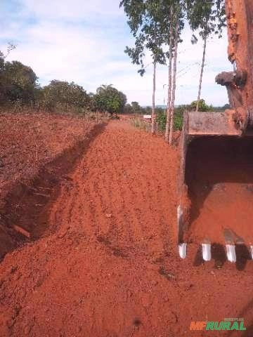 Imagem SERVIÇO DE DESTOCA DE EUCALIPTO Imagem SERVIÇO DE DESTOCA DE EUCALIPTO