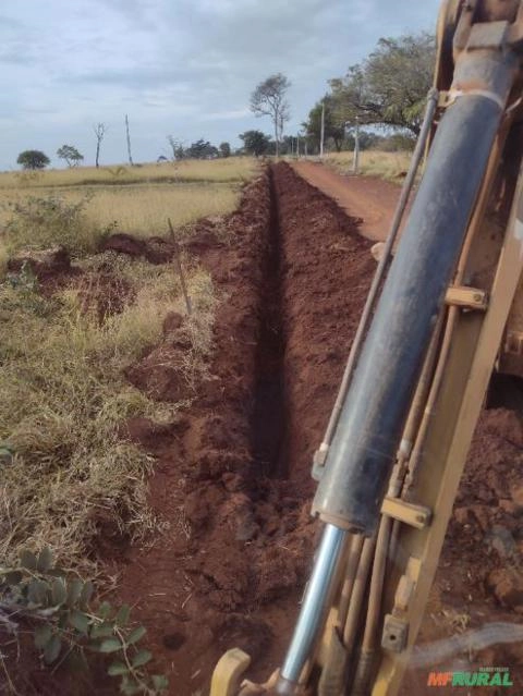 Imagem SERVIÇO DE DESTOCA DE EUCALIPTO Imagem SERVIÇO DE DESTOCA DE EUCALIPTO