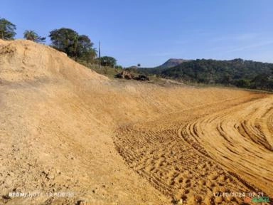 Imagem SERVIÇO DE DESTOCA DE EUCALIPTO Imagem SERVIÇO DE DESTOCA DE EUCALIPTO