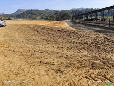 Imagem SERVIÇO DE DESTOCA DE EUCALIPTO Imagem SERVIÇO DE DESTOCA DE EUCALIPTO