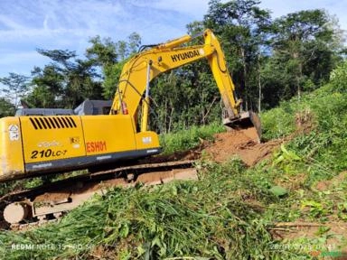 Imagem SERVIÇO DE DESTOCA DE EUCALIPTO Imagem SERVIÇO DE DESTOCA DE EUCALIPTO
