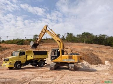 Imagem SERVIÇO DE DESTOCA DE EUCALIPTO Imagem SERVIÇO DE DESTOCA DE EUCALIPTO