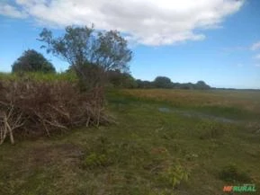 Sítio em Campos dos Goitagazes