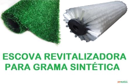 Escova Revitalizadora para Grama Sintética Imagem Escova Revitalizadora para Grama Sintética