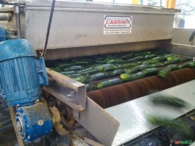 MÁQUINA PARA BENEFICIAMENTO E CLASSIFICAÇÃO DE PEPINO Imagem MÁQUINA PARA BENEFICIAMENTO E CLASSIFICAÇÃO DE PEPINO