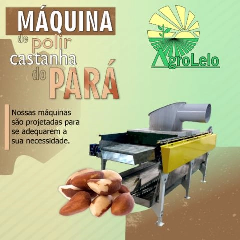 Máquina para Beneficiamento e Classificação de Castanha do Pará Imagem Máquina para Beneficiamento e Classificação de Castanha do Pará
