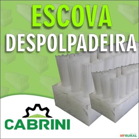 Escova para Despolpadeira Imagem Escova para Despolpadeira