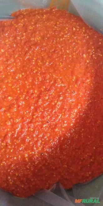 Pasta de pimenta vermelha concentrada tipo exportação