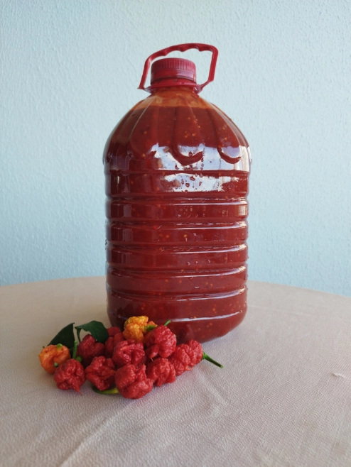 Polpa de pimenta tabasco  tipo exportação Imagem Polpa de pimenta tabasco  tipo exportação