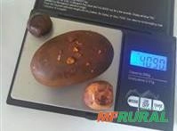 Compramos pedras de fel bovinos Imagem Compramos pedras de fel bovinos