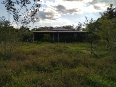 VENDO AREA 400 HA (4 LOTES )