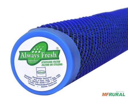Filtro Always Fresh S8 Controle de Etileno Imagem Filtro Always Fresh S8 Controle de Etileno
