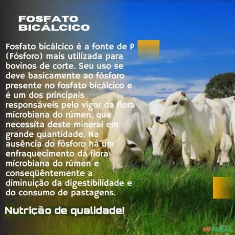 Imagem Fosfato bicálcico de alto valor nutricional. Imagem Fosfato bicálcico de alto valor nutricional.