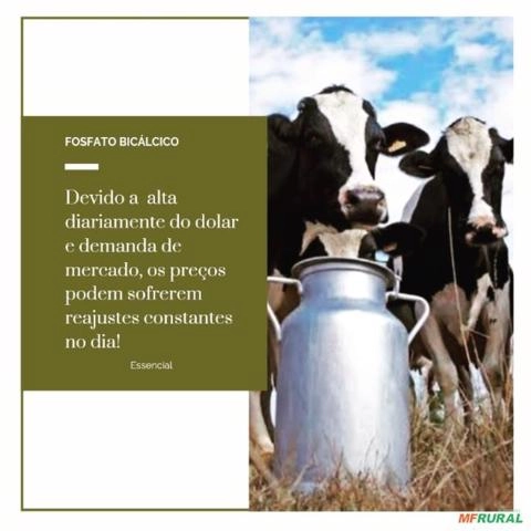 Imagem Fosfato bicálcico de alto valor nutricional. Imagem Fosfato bicálcico de alto valor nutricional.