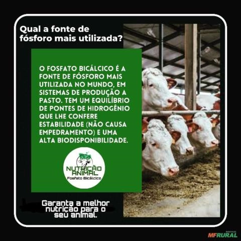 Imagem Fosfato bicálcico de alto valor nutricional. Imagem Fosfato bicálcico de alto valor nutricional.