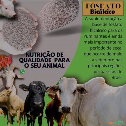 Imagem Fosfato bicálcico de alto valor nutricional. Imagem Fosfato bicálcico de alto valor nutricional.