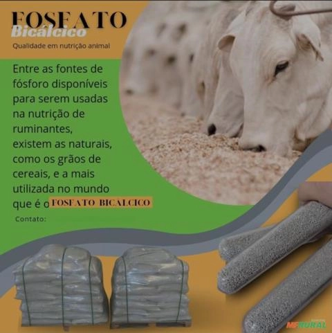 Imagem Fosfato bicálcico de alto valor nutricional. Imagem Fosfato bicálcico de alto valor nutricional.