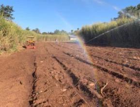 Área de 14 hec, 10 já irrigados, a 25 min do centro de Goiania,área com certificação de organicos.