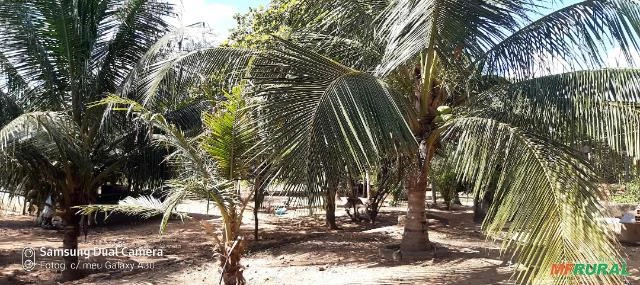 Fazenda em Grajaú MA