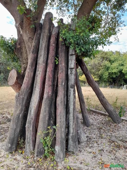 Palanques de Aroeira 3,10m Imagem Palanques de Aroeira 3,10m