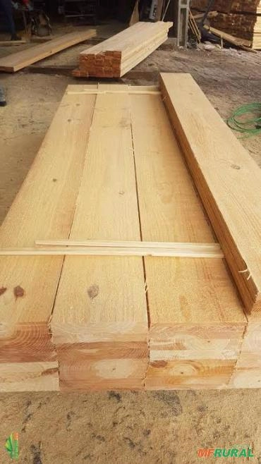 Procuro Fornecedor de Pinus e Madeira Serrada Imagem Procuro Fornecedor de Pinus e Madeira Serrada