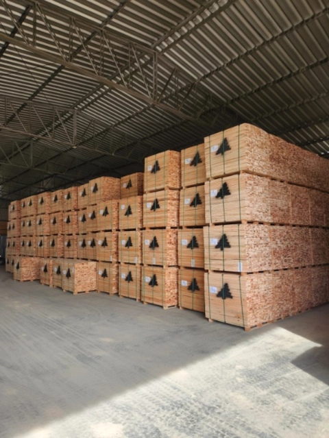 Madeira de Eucalipto Serrada Imagem Madeira de Eucalipto Serrada