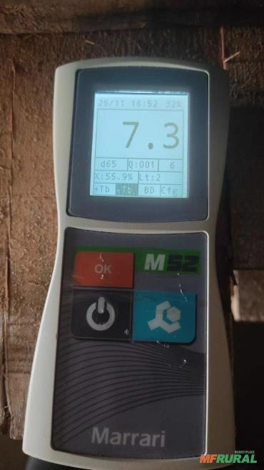 Imagem MADEIRA SERRADA DE EUCALIPTO Imagem MADEIRA SERRADA DE EUCALIPTO