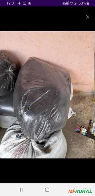 Esterco de cavalo triturado Imagem Esterco de cavalo triturado