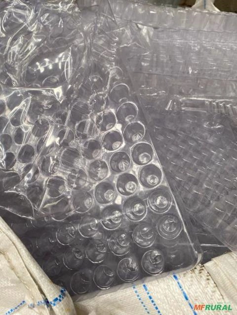 Imagem COMPRAMOS E VENDEMOS PVC, PP, PET, PEBD E PVDC Imagem COMPRAMOS E VENDEMOS PVC, PP, PET, PEBD E PVDC