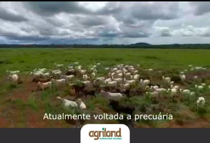 Fazenda Presidente - Santana do Araguaia PA