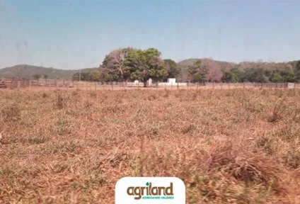 Fazenda Presidente - Santana do Araguaia PA