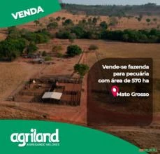 Fazenda em Água Boa - MT