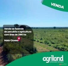 Fazenda em Canarana - MT